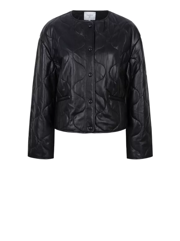 DANTE6 Ciaba Leren Bomber