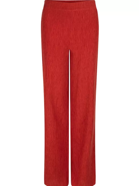 DANTE6 D6Jeni Broek